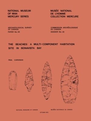 cover image of Beaches
